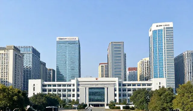 组织优化中的技术痛点与应对策略