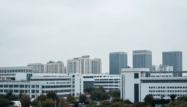 技术咨询业务中适用条件如何影响服务流程